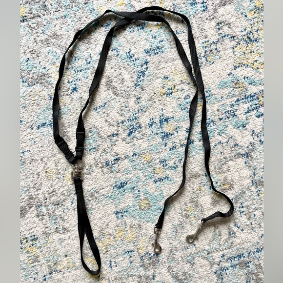 Other - Double swivel dog leash